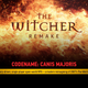 A slide from CDPR's latest earnings presentation reveals The Witcher Remake will be open world.